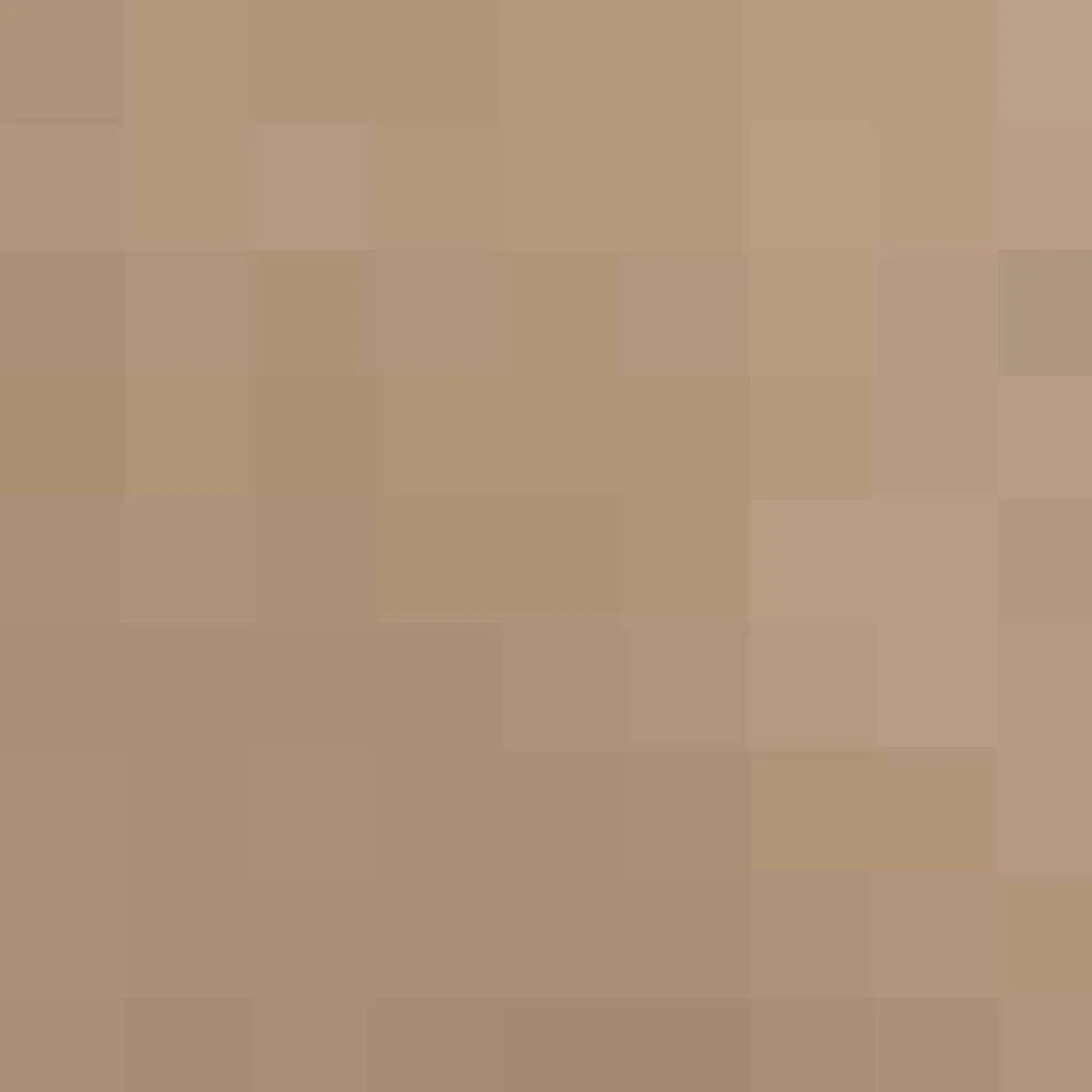 Uždanga nuo saulės, taupe spalvos, 4x4m, HDPE, 160g/m²