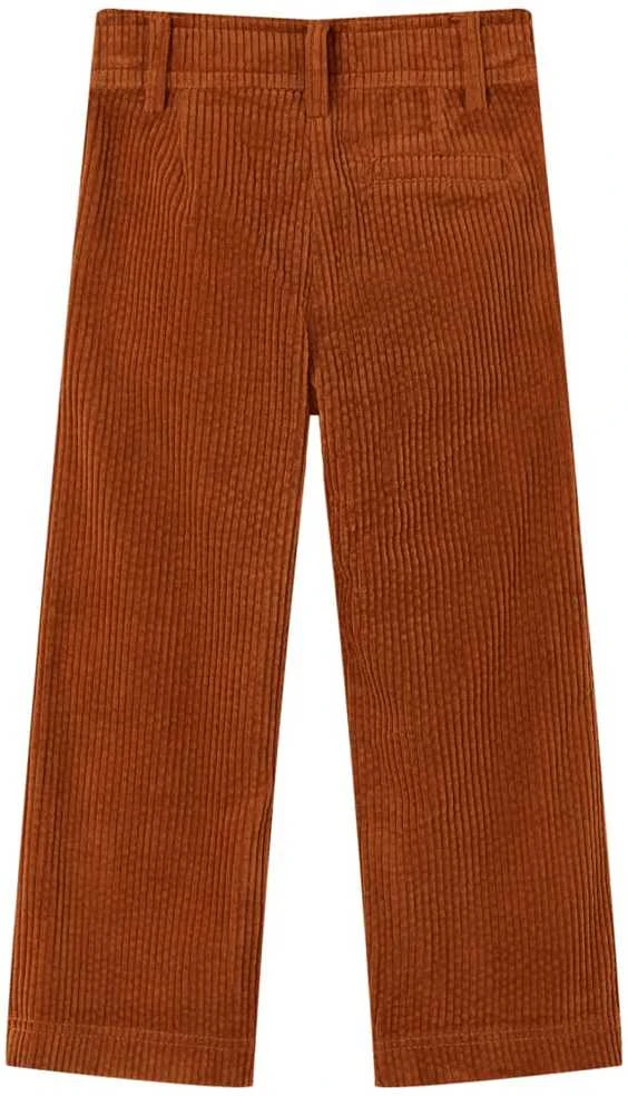 Vaikiškos kelnės, smėlio spalvos, velvetas, 104 dydžio