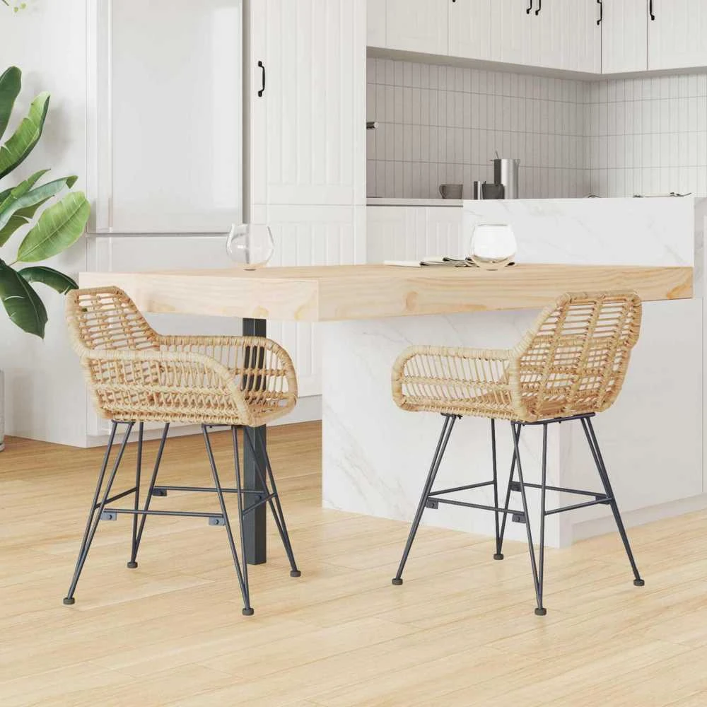 Valgomasis krėslas 2 vnt. Ratanas ir Geležis Natūrali