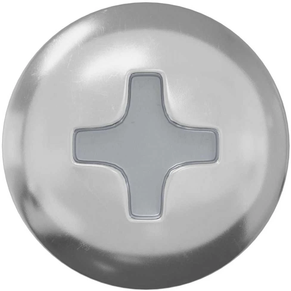 Varžtas 12 vnt. Sidabro 9,8 x 35 mm Geležis