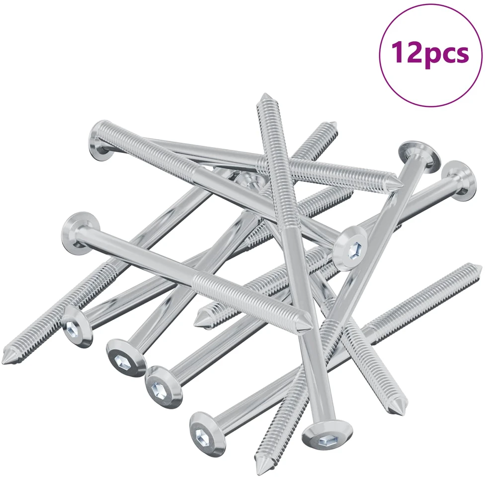 Varžtas 12 vnt. Sidabro M6 x 100 mm Plienas