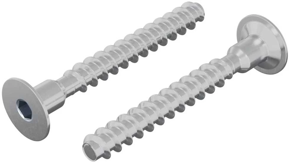 Varžtas 2 vnt. Cinkuota 5 x 40 mm Geležis