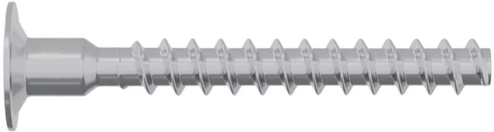 Varžtas 2 vnt. Cinkuota 5 x 40 mm Geležis