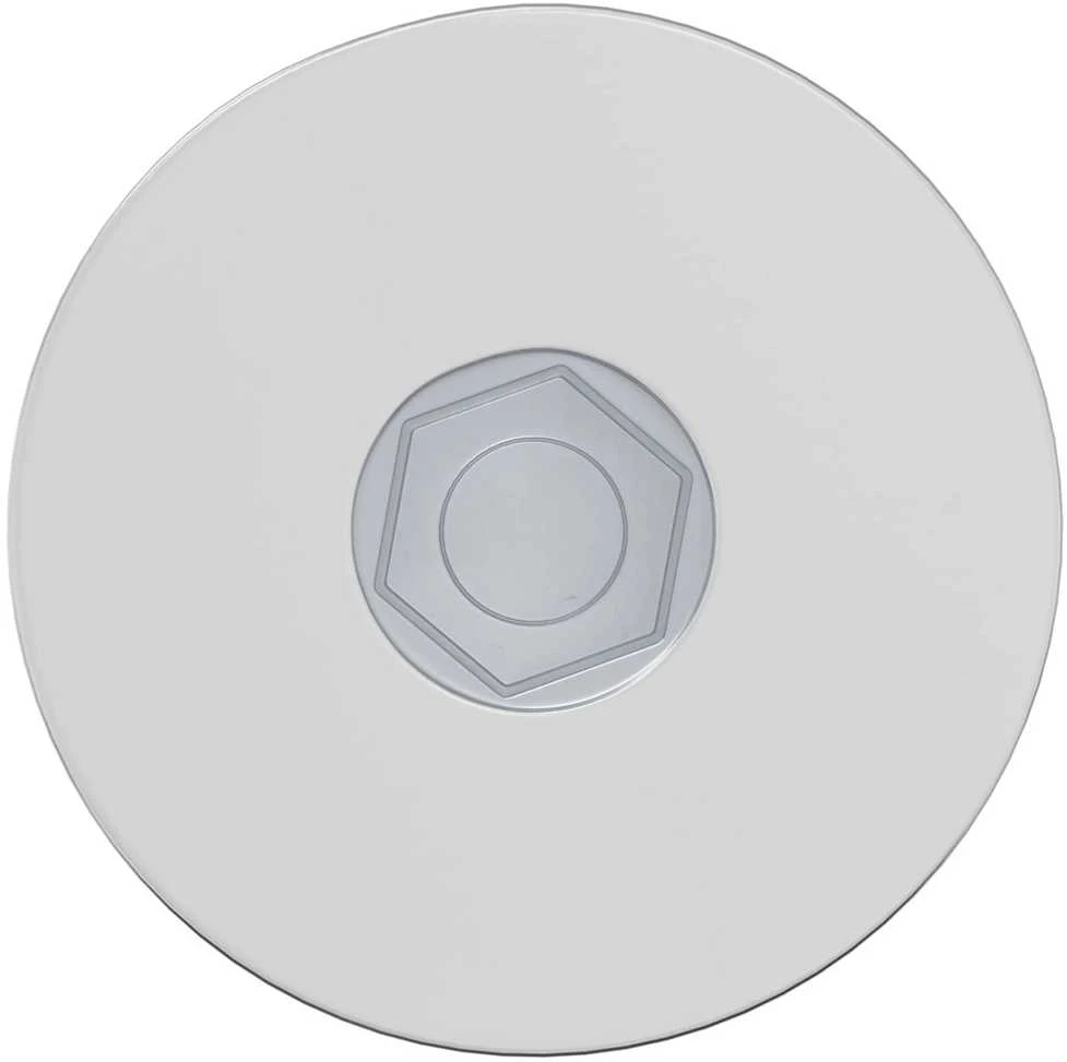 Varžtas 2 vnt. Cinkuota 5 x 40 mm Geležis