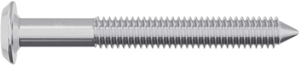 Varžtas 2 vnt. Sidabro M6 x 50 mm Plienas