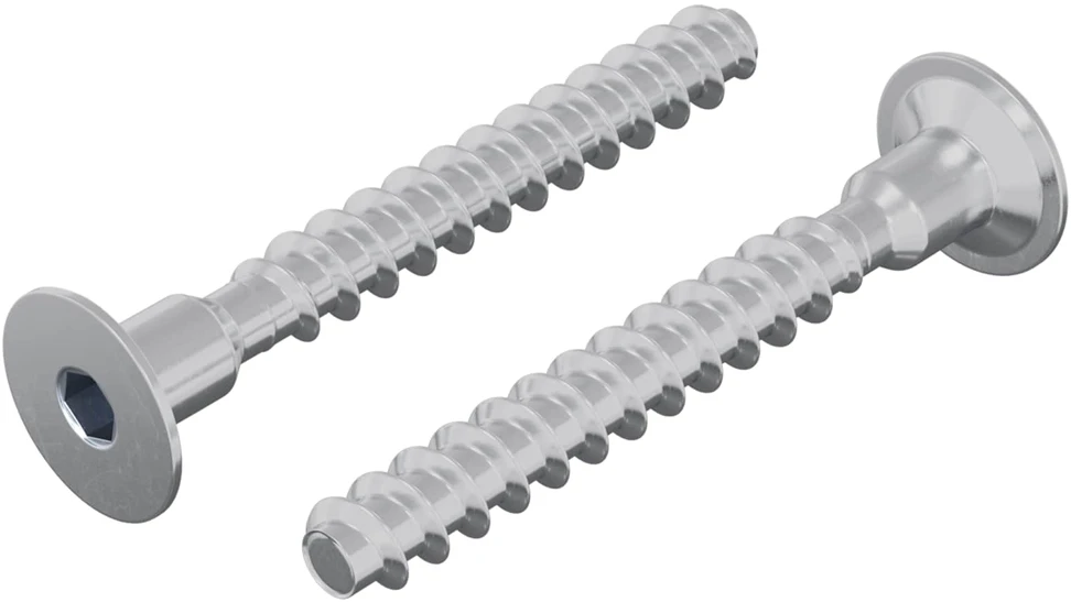 Varžtas 2 vnt. Cinkuota 5 x 40 mm Geležis