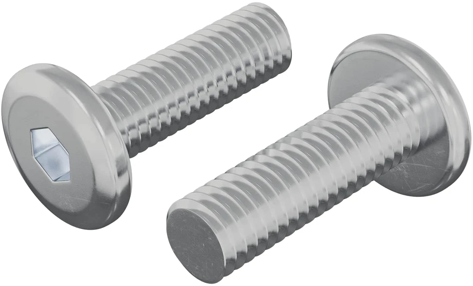 Varžtas 2 vnt. Sidabro 8 x 25 mm Plienas