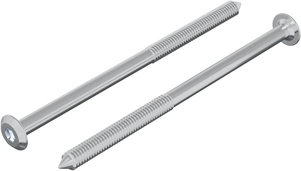 Varžtas 2 vnt. Sidabro M6 x 100 mm Plienas