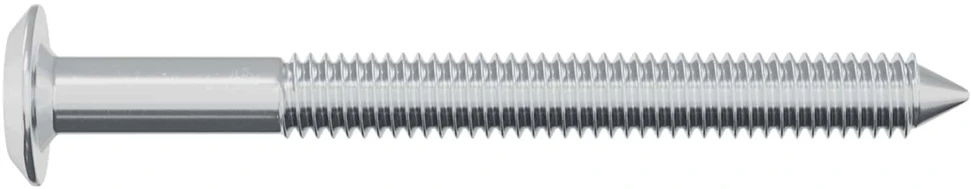 Varžtas 2 vnt. Sidabro M6 x 60 mm Plienas