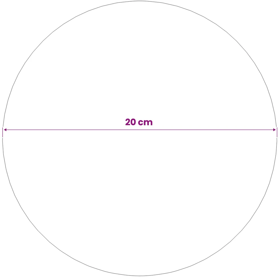Veidrodinis kamuolys Ø 20 cm Sidabrinė Nerūdijantis plienas 201