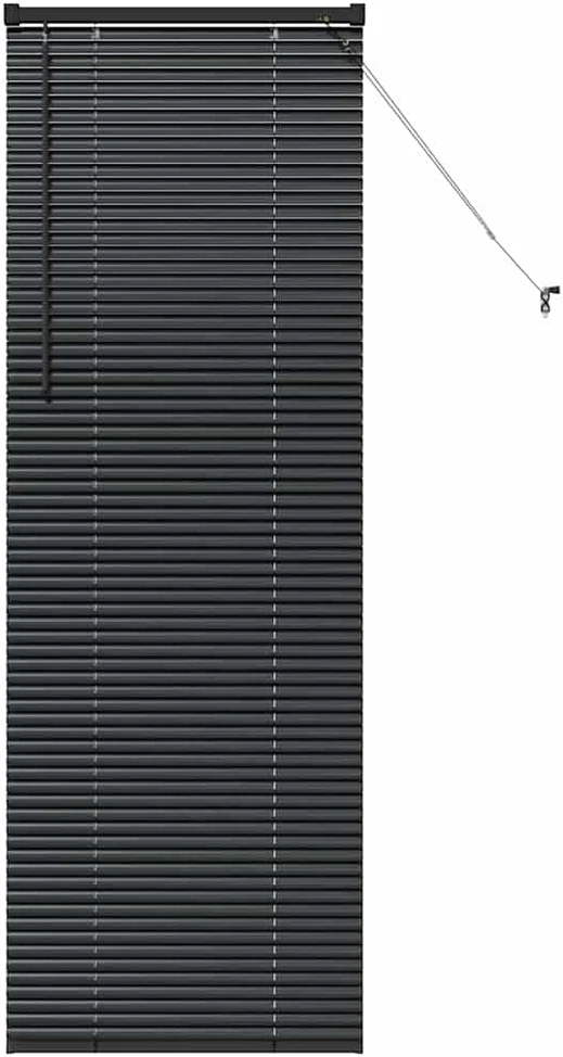 Venecijos žaliuzės Juoda 175 x 55 cm 25 mm Aliuminis