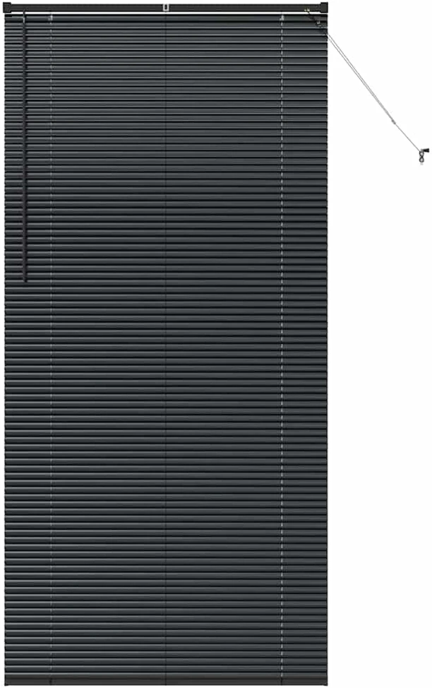 Venecijos žaliuzės Juoda 220 x 105 cm 25 mm Aliuminis