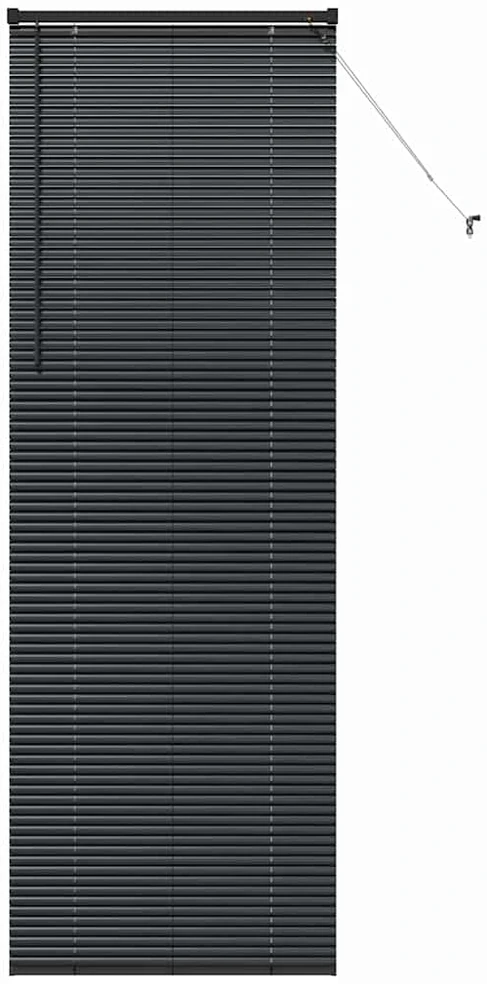 Venecijos žaliuzės Juoda 220 x 75 cm 25 mm Aliuminis