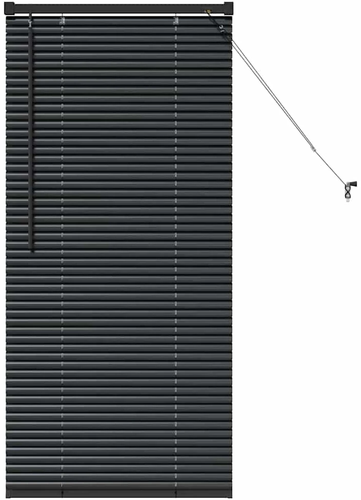 Venecijos žaliuzės Juoda 60 x 2,5 x 130 cm 25 mm Aliuminis