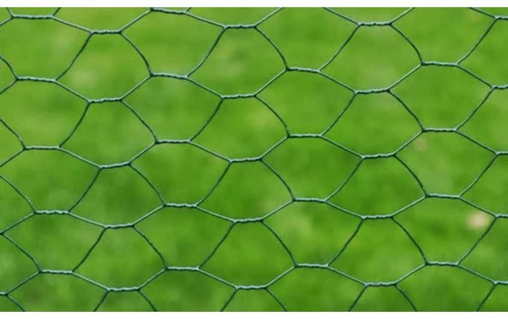 Vielos tinklas, žalias, 25x0,5m, dengtas PVC danga