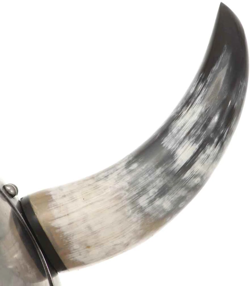 Vikingų šalmas, sidabrinis, plienas, fantastinis