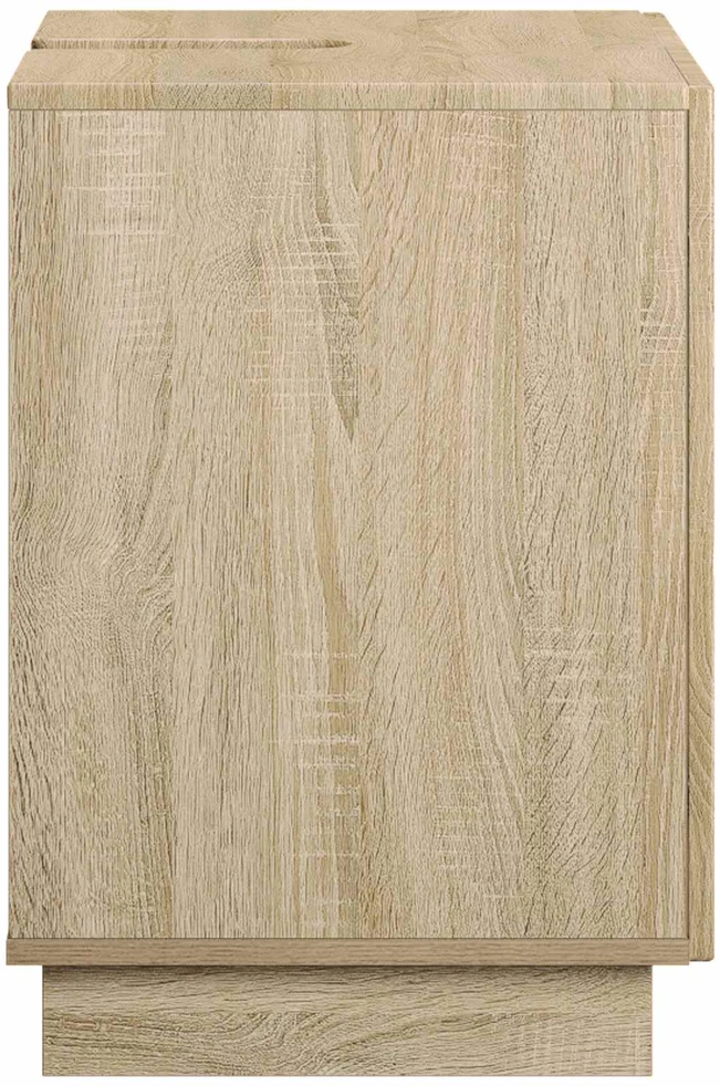 Vonios kambario spintelė Sonoma ąžuolas 101 x 41 x 58 cm