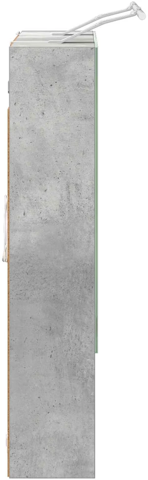 Vonios veidrodžio spinta Betono pilka 60 x 14.5 x 70 cm