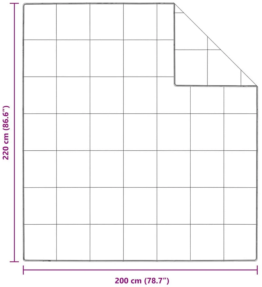 Žiemos antklodė 200 x 220 cm Žiema Plunksna Balta Kvėpuojantis