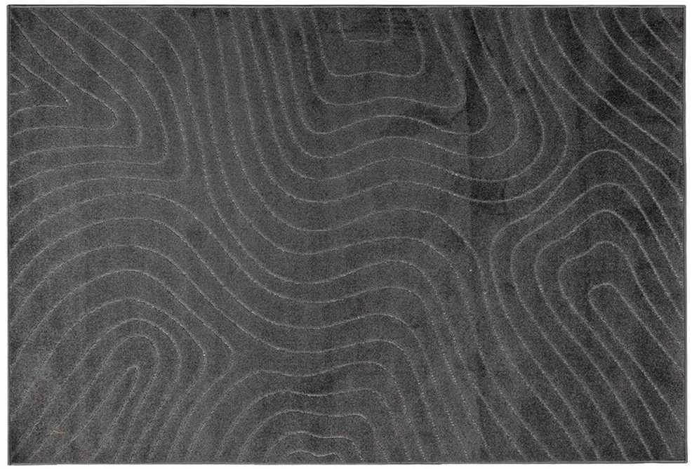 us ir lauko kilimas PALMERAS Antracitas 200 x 140 cm