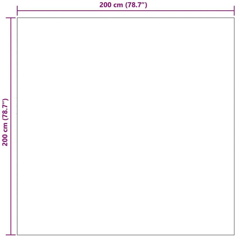 Vidinis kilimas LUGO Kremas ir Taupe 200 x 200 cm Poliesteris