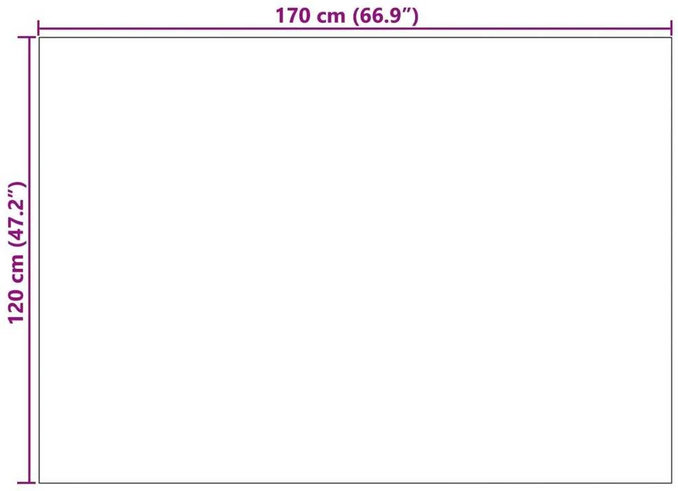 Vidaus ir lauko kilimas AGIRA Natūrali 170 x 120 cm Poliesteris