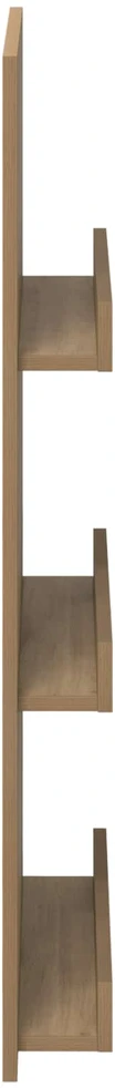 Žurnalų stovas su lentyna Amatininkų ąžuolas 51 x 11 x 102 cm