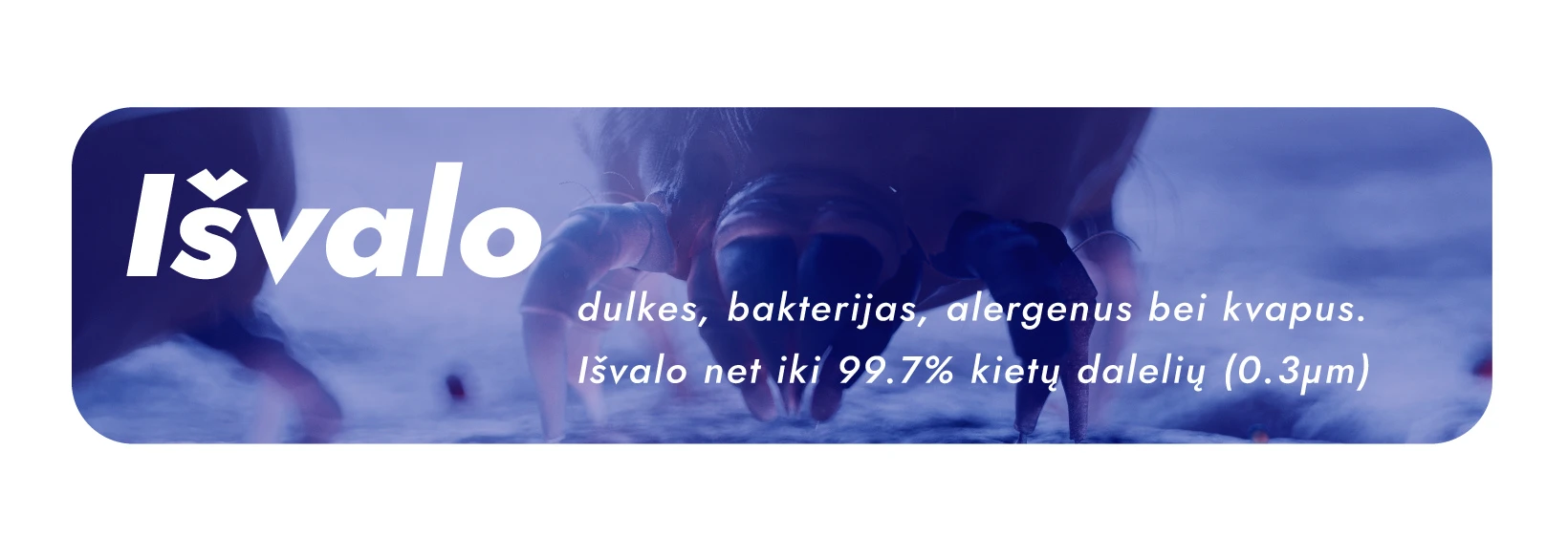 Oro valytuvas Adolus PURE + Papildomas filtras aprašymas - Prekės nuotrauka