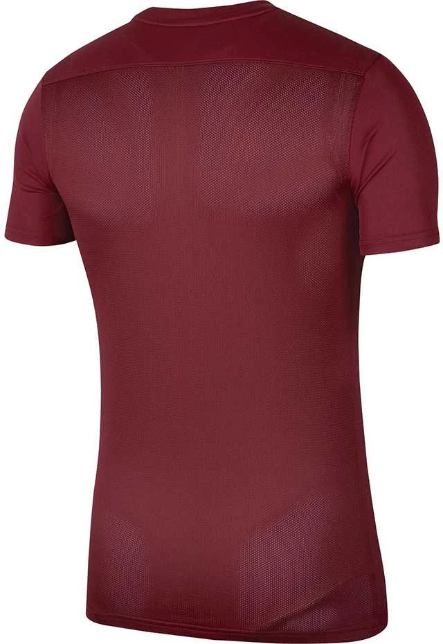 Vaikiški marškinėliai bordo spalvos Nike Dry Park VII JSY SS BV6741 677