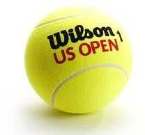 WILSON US OPEN teniso kamuoliukai (3)