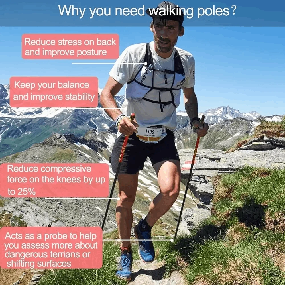 Tomaz Sport Teleskopinės Šiaurietiško Ėjimo Lazdos NECASIL DW072105 Violetinė 62 - 135 cm