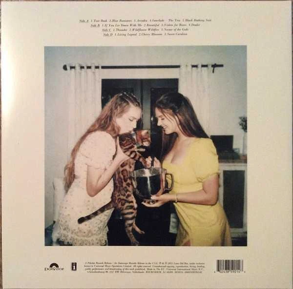Blue Mėlyna Vinilinė plokštelė - Lana Del Rey - Mėlyna Banisters 2LP