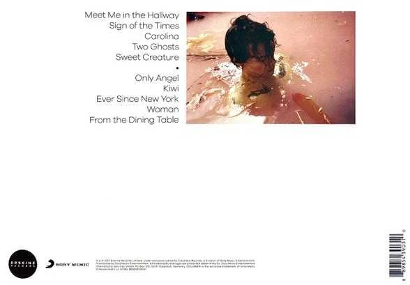 Vinilinė plokštelė – Harry Styles – Harry Styles LP