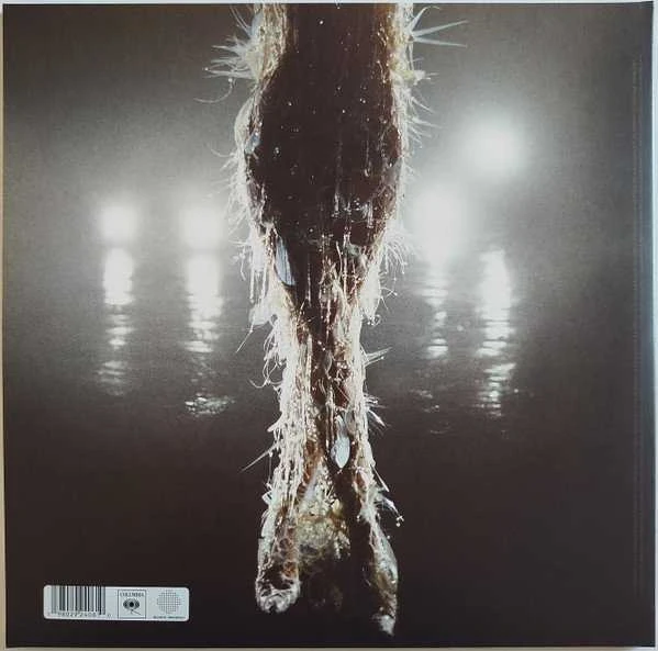 Vinilinė plokštelė – Miley Cyrus – Something Beautiful (Clear Vinyl) LP