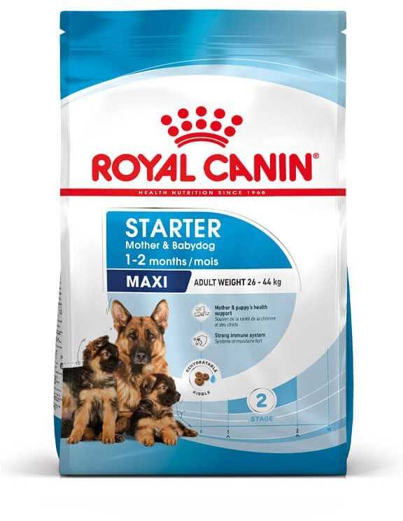 Royal Canin Maxi Starter 15kg
