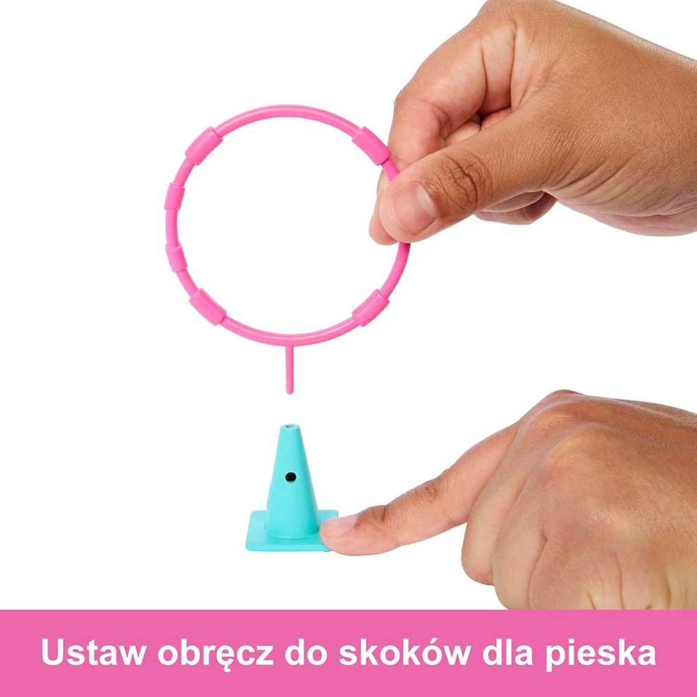 Lėlė Barbie and Stacie Puppy Obstacle Course HRM10 Mattel