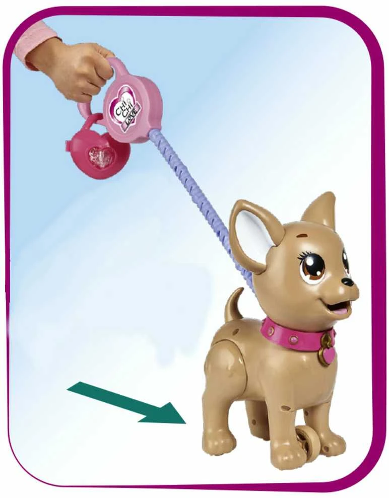 Simba chi meilės šuns poo šuniukas