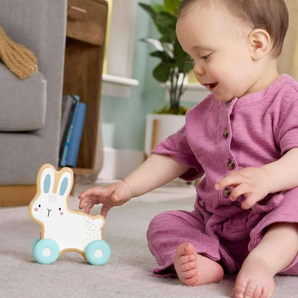 Mattel FISHER-PRICE stumdomas medinis žaislas – Triušiukas (JDM52)
