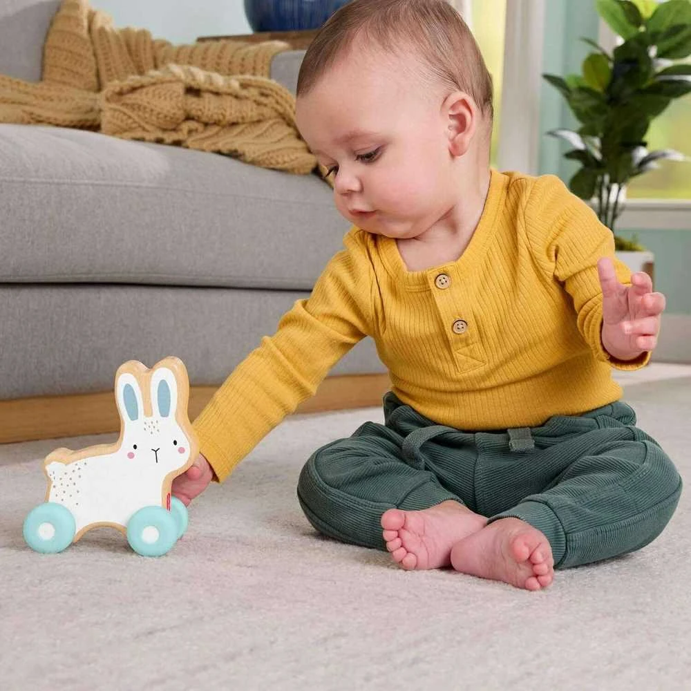 Mattel FISHER-PRICE stumdomas medinis žaislas – Triušiukas (JDM52)