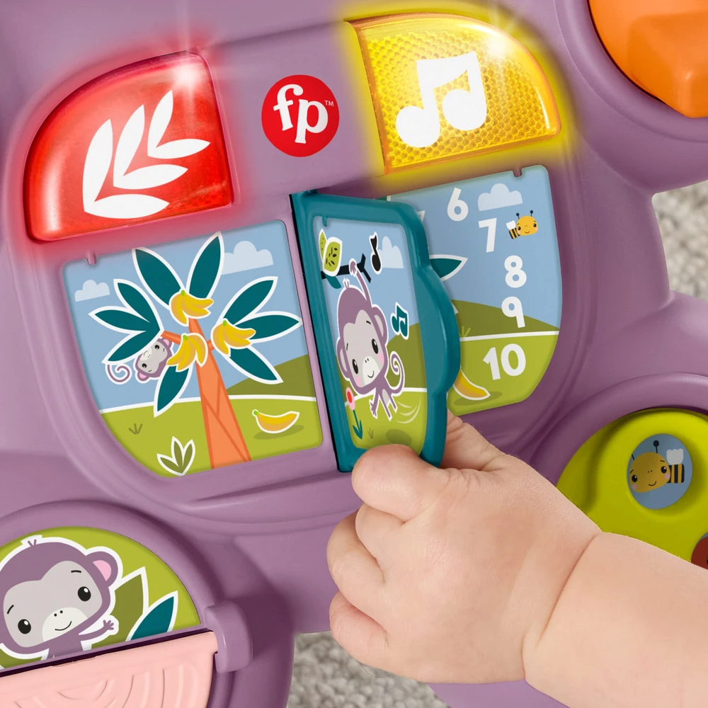 Vaikštynė stumdukas Fisher-Price violetinė beždžionėlė