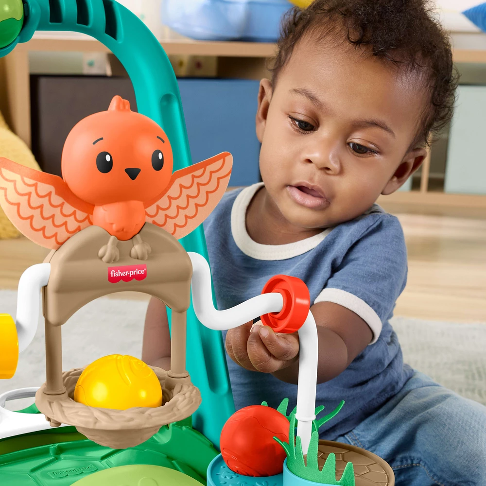 Mattel FISHER-PRICE vėžliuko vaikštynė (JKD63)