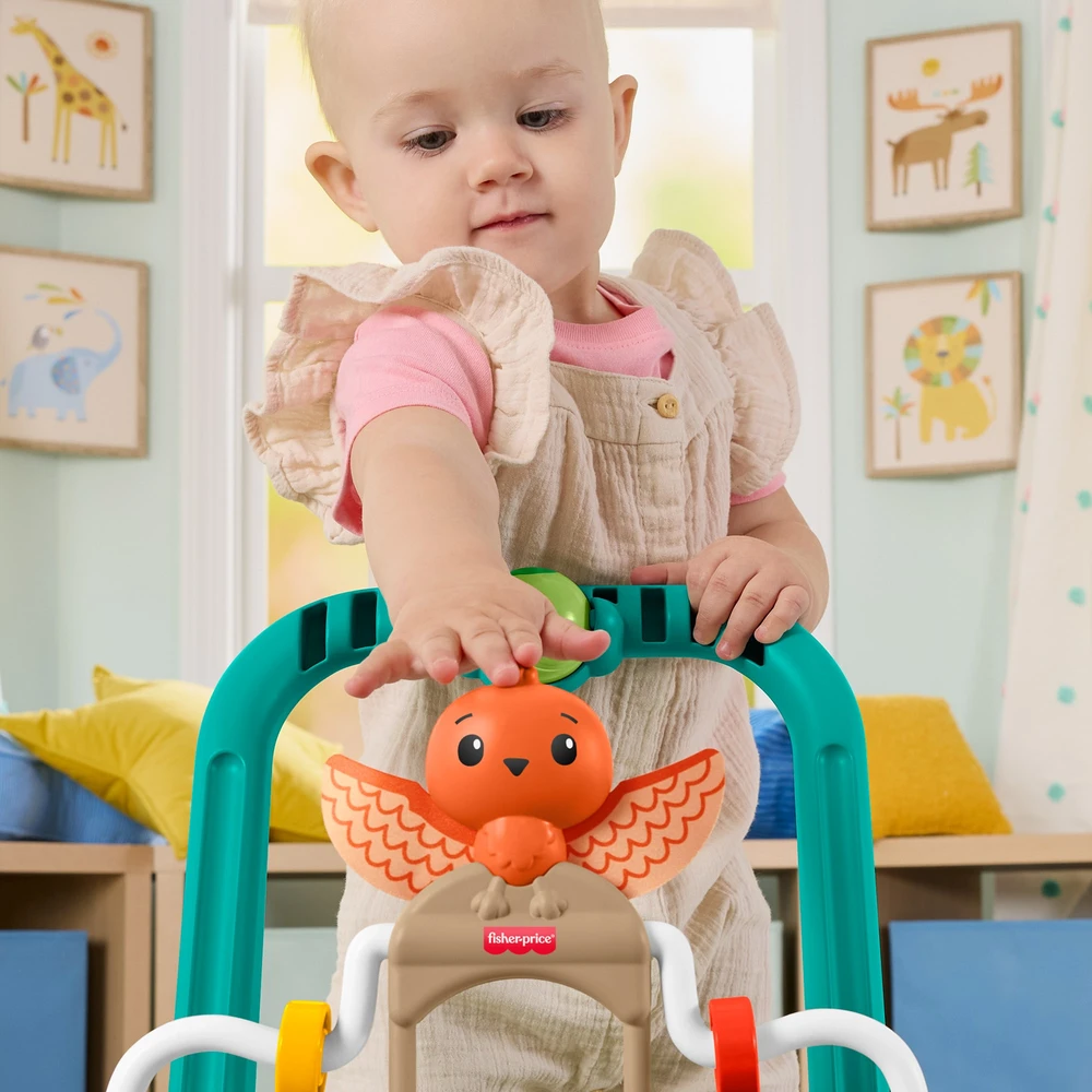 Mattel FISHER-PRICE vėžliuko vaikštynė (JKD63)