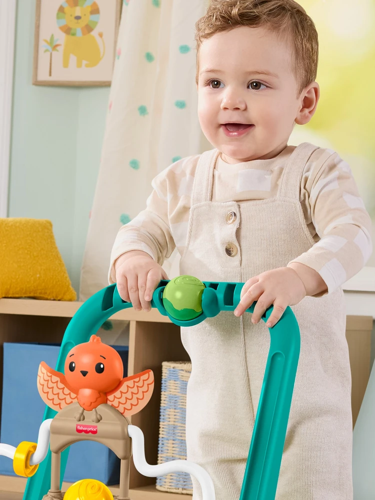 Mattel FISHER-PRICE vėžliuko vaikštynė (JKD63)