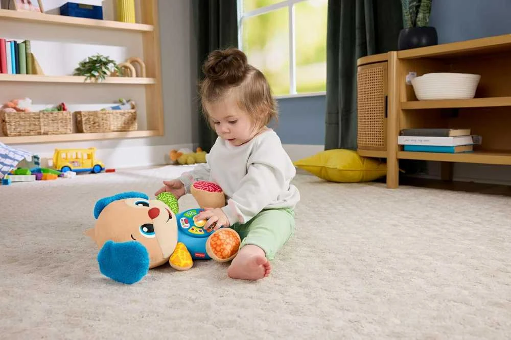 Fisher Price Interaktyvus talismanas šuniukas moksleivis (lenk./angl./cz/sl./hu)