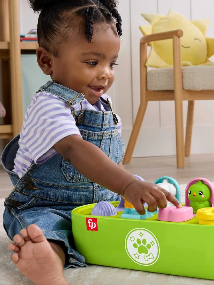 Mattel FISHER-PRICE iššokančių gyvūnėlių žaidimas (JDL66)