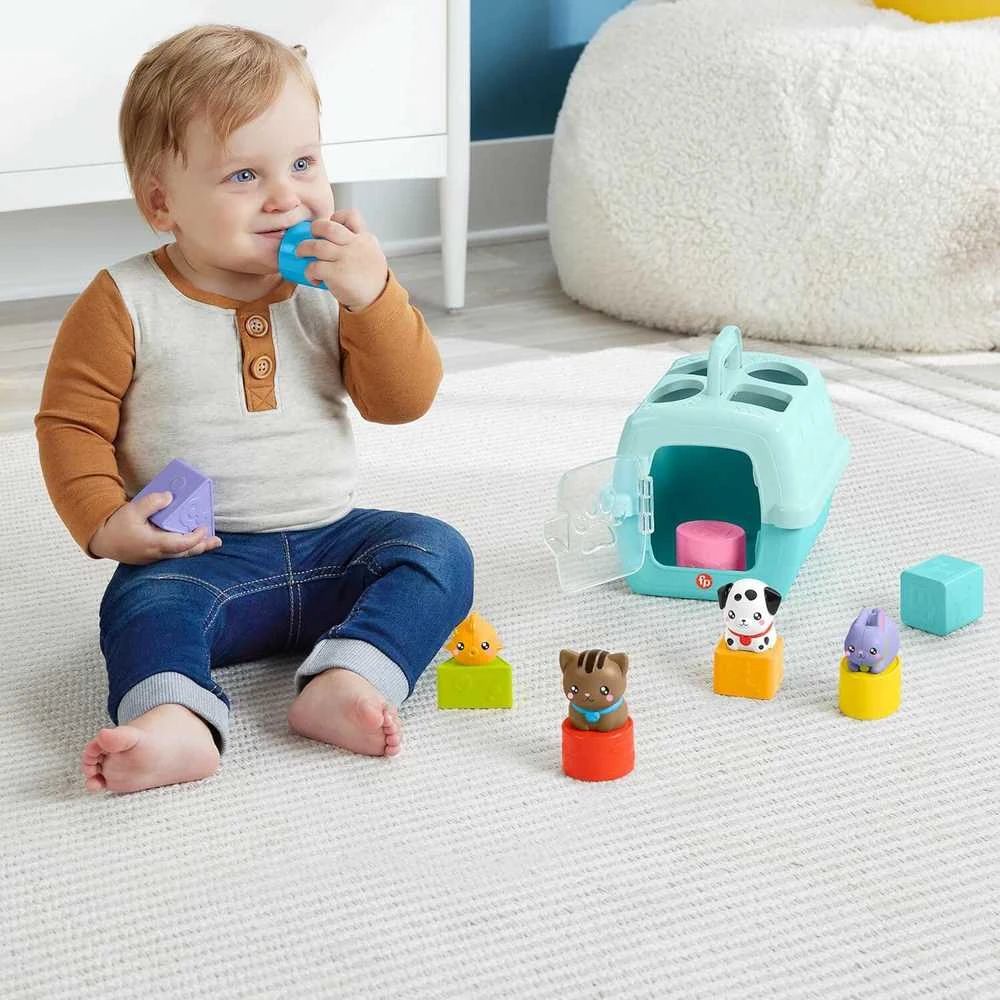 Mattel FISHER-PRICE formelių rūšiuoklė – Naminiai gyvūnėliai (HTW93)