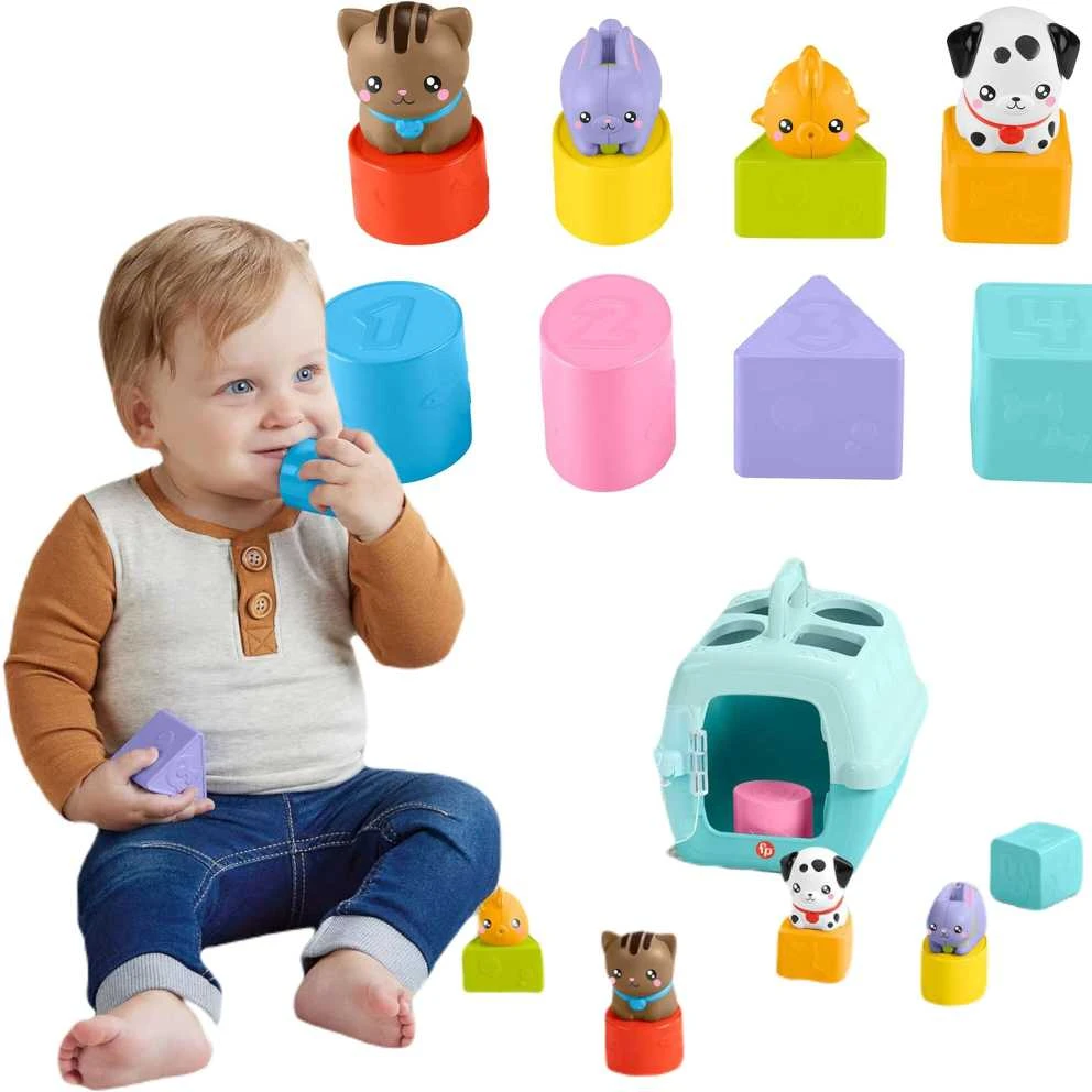 Mattel FISHER-PRICE formelių rūšiuoklė – Naminiai gyvūnėliai (HTW93)