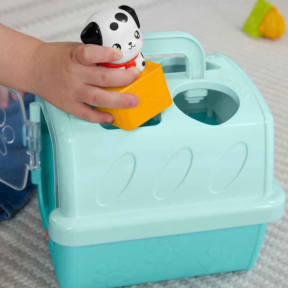 Mattel FISHER-PRICE formelių rūšiuoklė – Naminiai gyvūnėliai (HTW93)