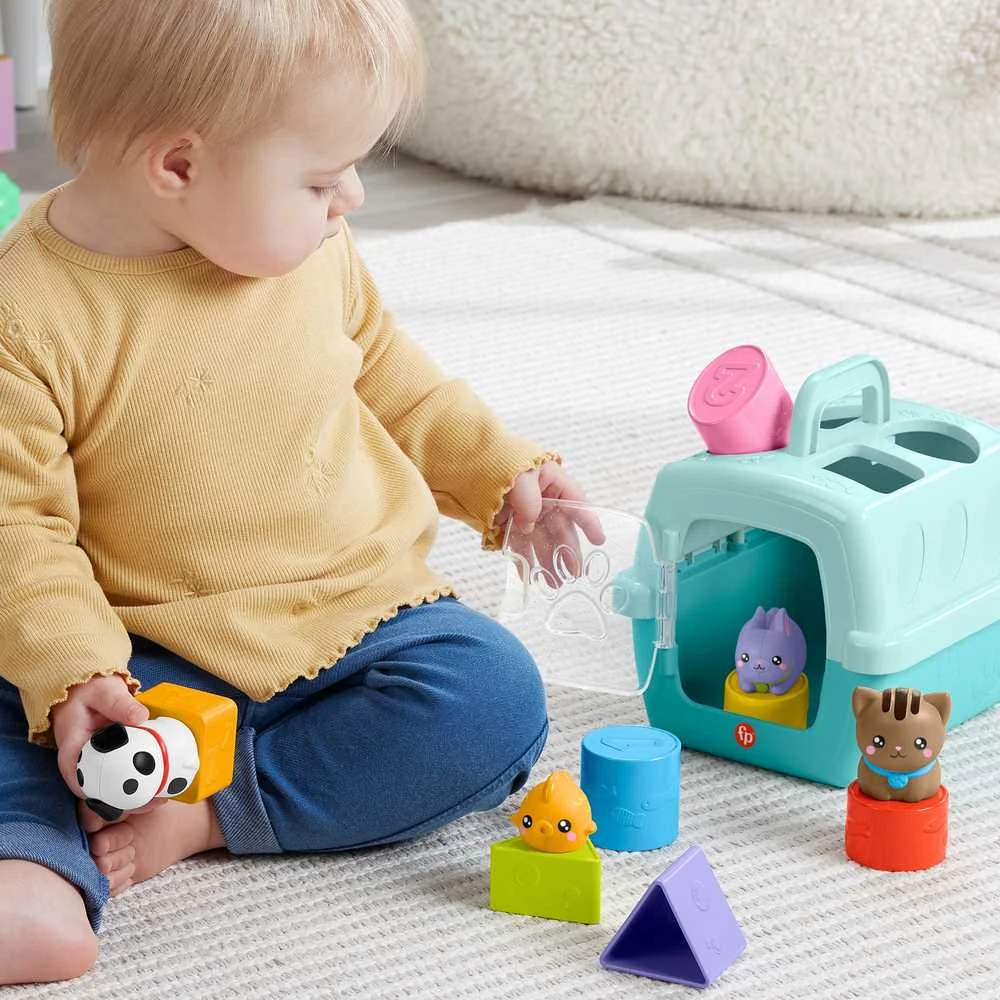 Mattel FISHER-PRICE formelių rūšiuoklė – Naminiai gyvūnėliai (HTW93)