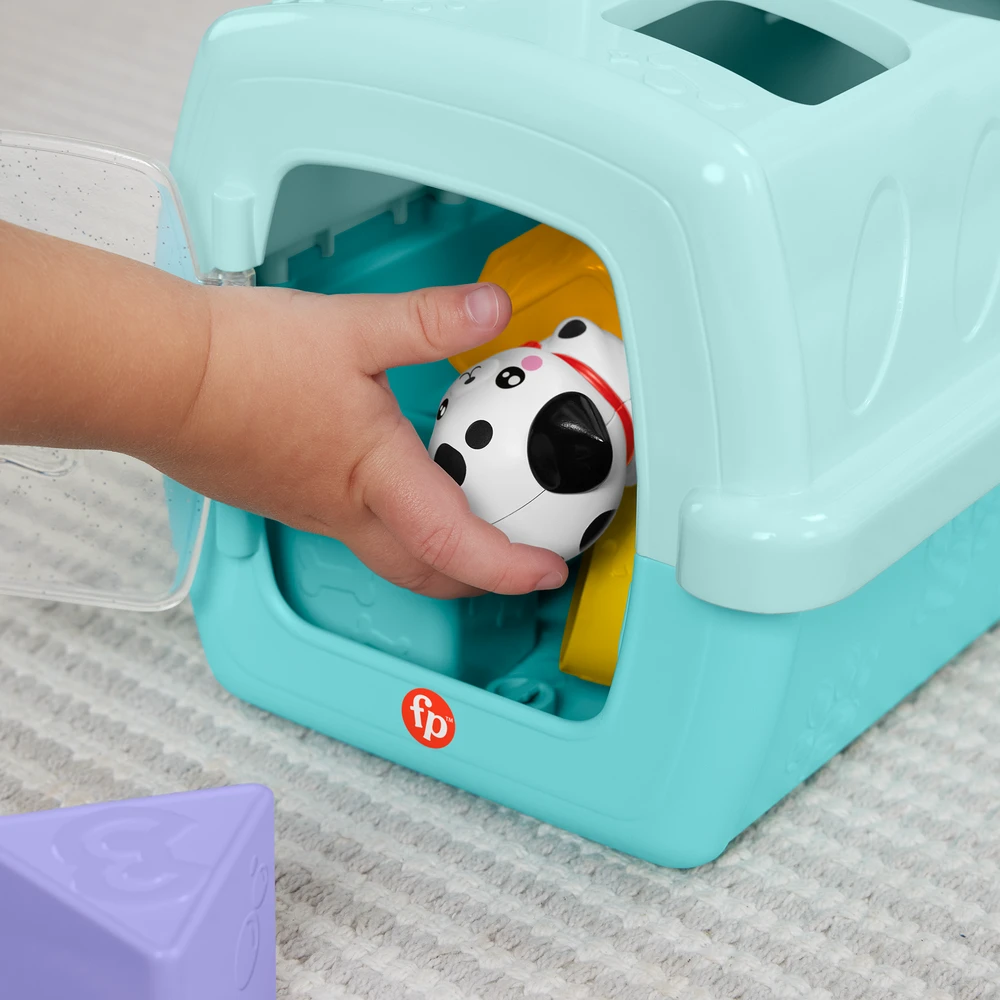 Mattel FISHER-PRICE formelių rūšiuoklė – Naminiai gyvūnėliai (HTW93)